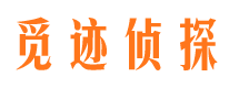 阳新市侦探调查公司